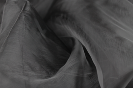 Kaufen 069-schwarz Organza *Ab 50 cm