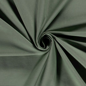 Kaufen 078-jade Baumwolljersey *Ab 50 cm