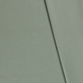 Kaufen 022-d-mint Canvasstoff *Ab 50cm