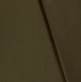 Kaufen 026-olive Canvasstoff *Ab 50cm