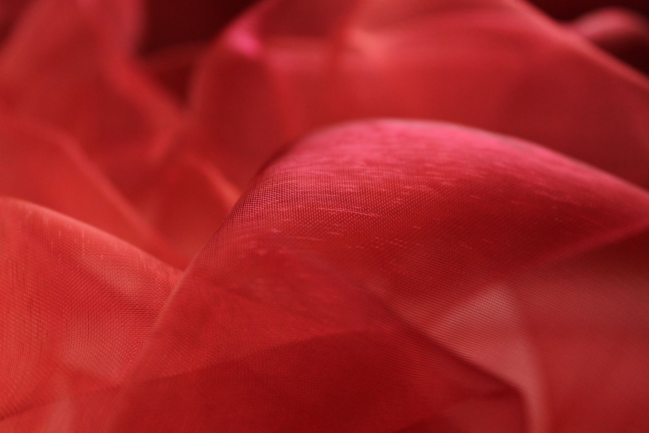 Buy 018-d-red Organza *From 50 cm