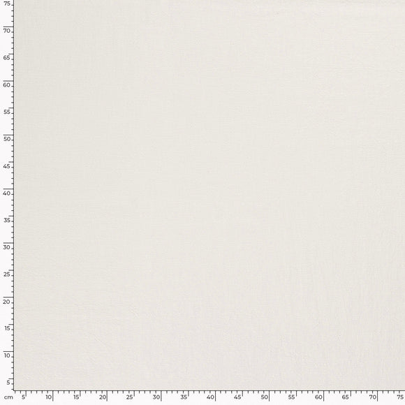 Lin Ramie stonewashed * A partir de 50 cm