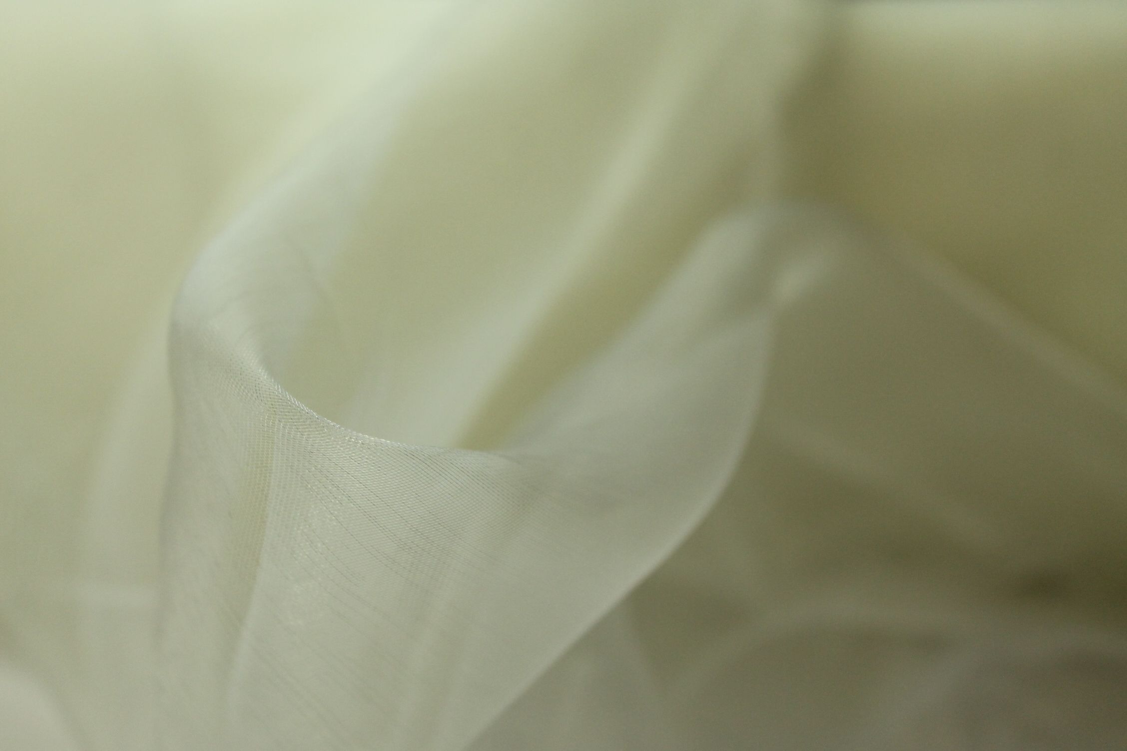 Buy 051-ivory Organza *From 50 cm