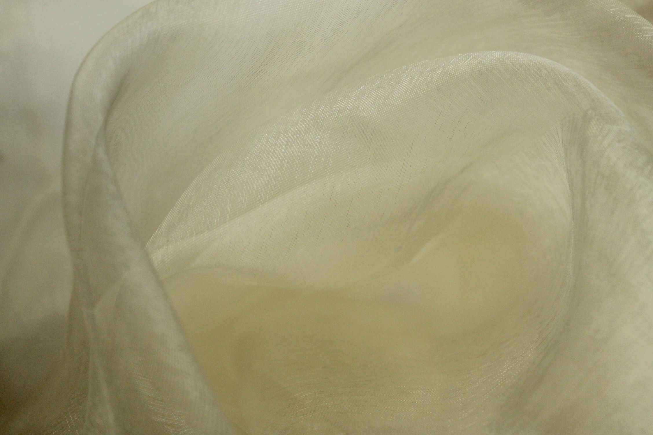 Buy 052-cream Organza *From 50 cm