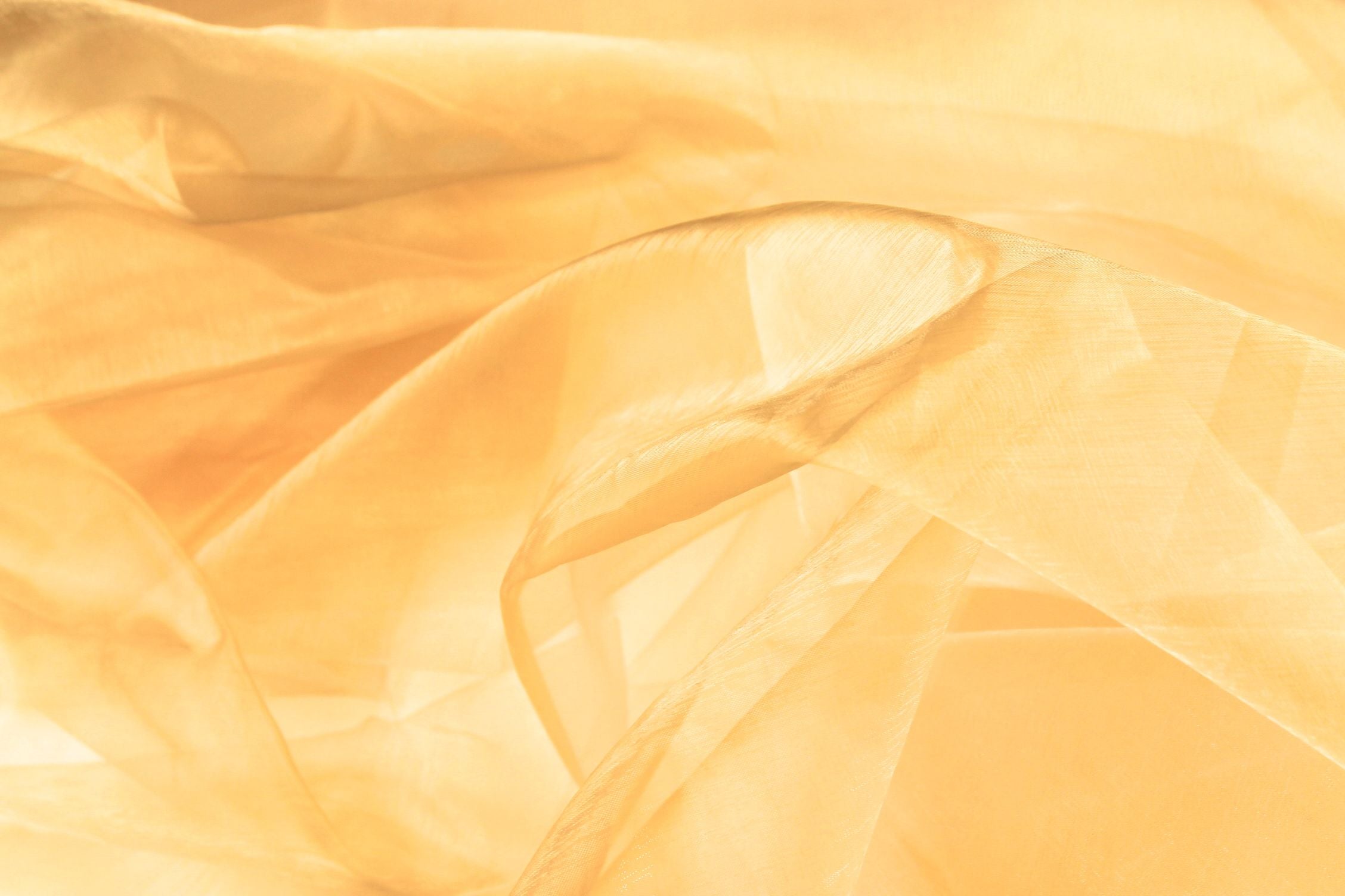 Buy 080-gold Organza *From 50 cm