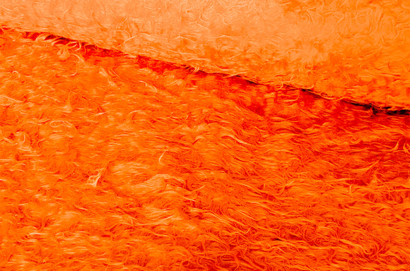 Teddy Zottel *Ab 25cm