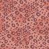 002 Leo auf Coral