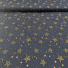 026 Sterne gold auf marine