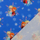 Baumwolljersey Elsa & Anna blau *Ab 50cm-3