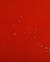 015 rot