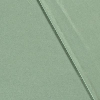 Acheter 022-mint Jersey viscose * A partir de 50 cm