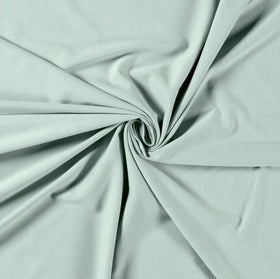 Kaufen 022-d-mint Baumwolljersey *Ab 50 cm