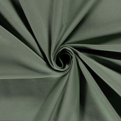 Kaufen 078-jade Baumwolljersey *Ab 50 cm