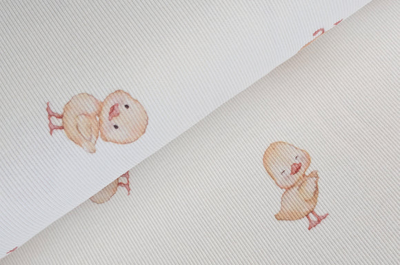 Rippjersey bedruckt Enten *Ab 50cm