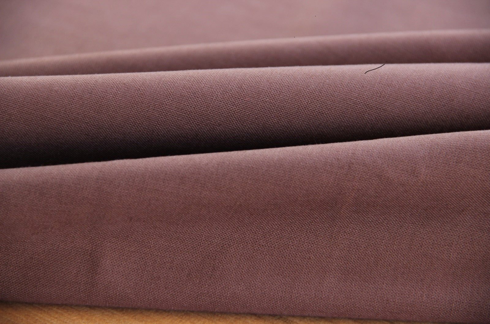 Buy 048-brown Cotton fabric plain *From 50cm
