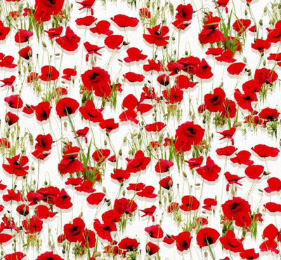 Dekostoff Mohnblumen *Ab 50cm - 0