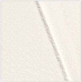 Spitze Lochstickerei creme *Ab 50cm