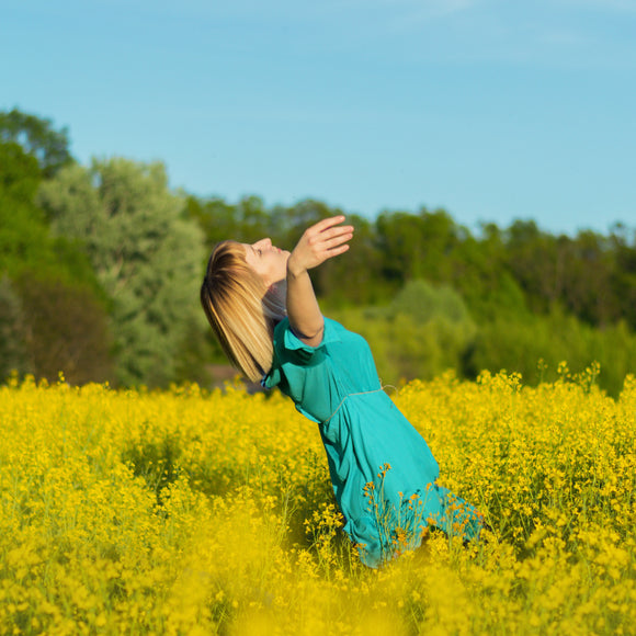 Baumwoll Voile *Ab 50 cm