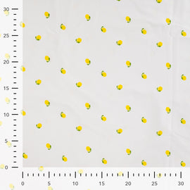 Baumwolljersey Zitronen creme *Ab 50 cm - 0