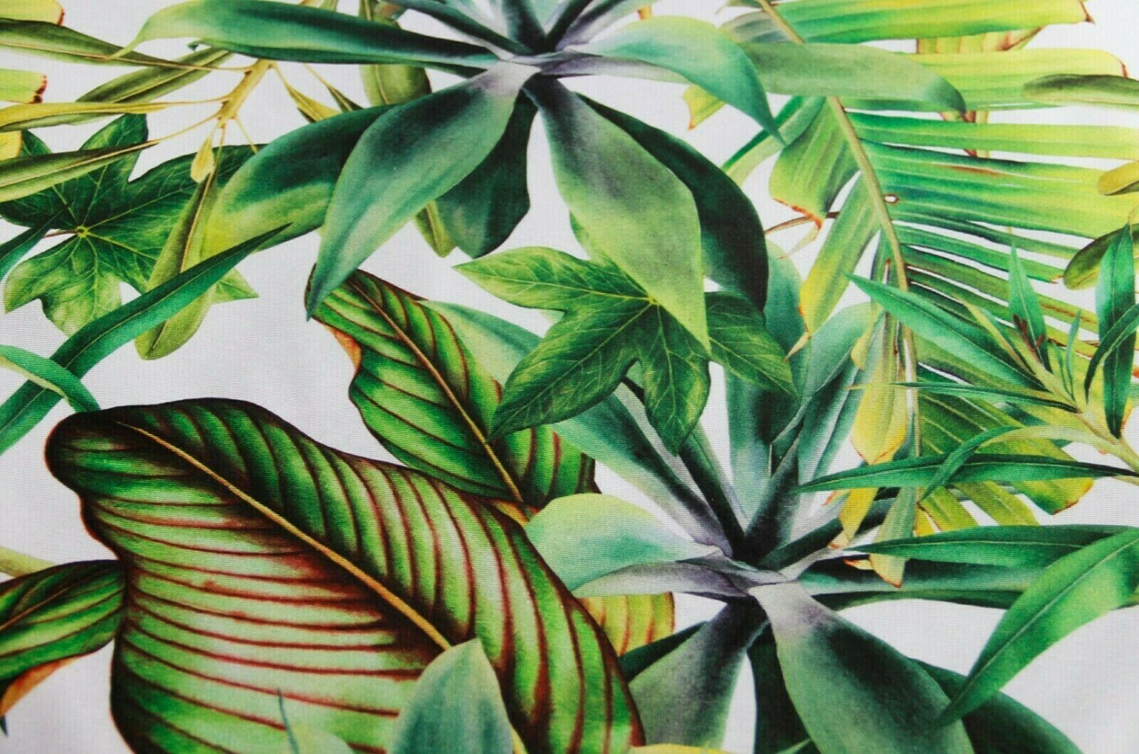 Tissu déco impression numérique feuilles de jungle * A partir de 50 cm-5