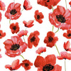 002 Poppies