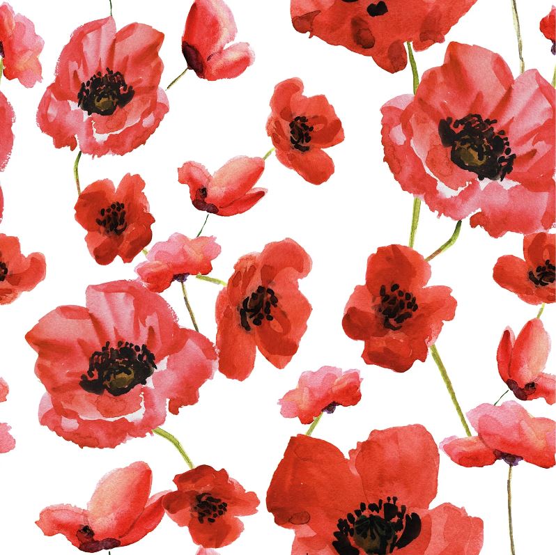 Buy 002-poppies Cotton prints floral * From 50 cm