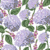 003 Hydrangeas