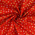 023 asterisk red